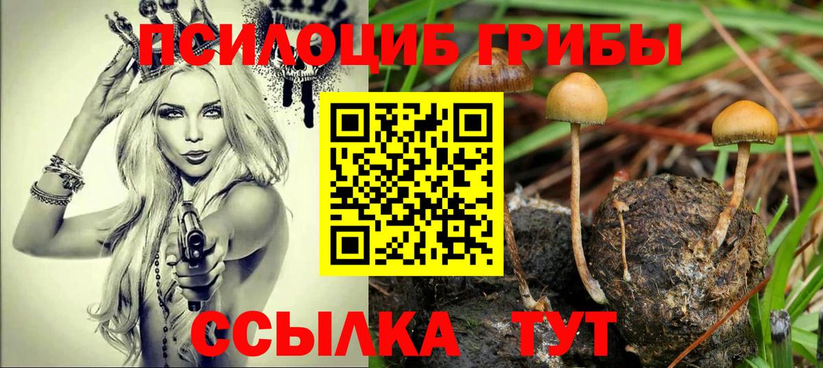 Среднеуральск  Галлюциногенные грибы Psilocybine cubensis  Галлюциногенные грибы Psilocybine cubensis  Вход с VPN 